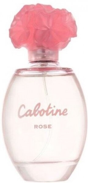 Gres Cabotine Rose EDT 100 ml Kadın Parfümü kullananlar yorumlar